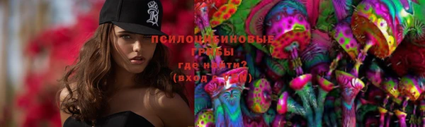 стаф Абаза