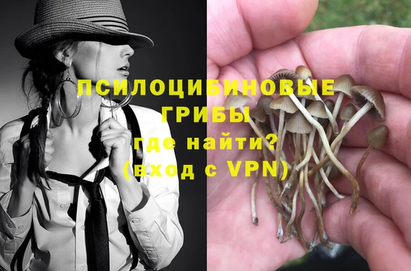 стаф Абаза