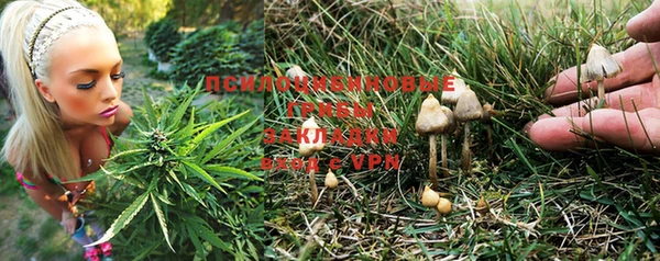 стаф Абаза